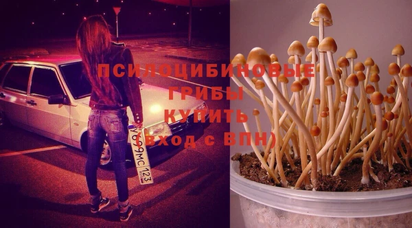 MESCALINE Арсеньев