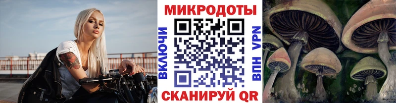 Псилоцибиновые грибы Psilocybe  Купить где  Дальнереченск 